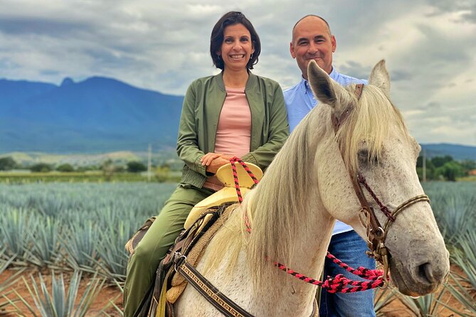 Premium Private Tequila Tour - Why This Tequila Day Is More Than a Tasting