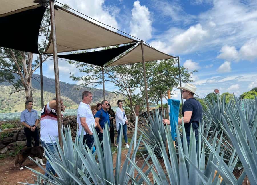 Premium Tequila Route with professional tasting - Why this Tequila route is worth your day
