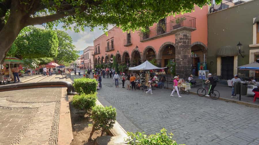 Premium Tequila Route with professional tasting - Tequila Selecto de Amatitán and the serious tasting