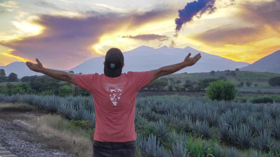 Premium Tequila Route with professional tasting - Cantaritos El Güero: a loud, colorful final stop