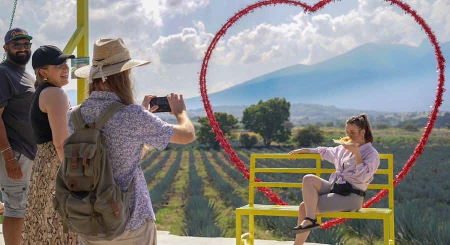 Premium Tequila Route with professional tasting - Meeting in Guadalajara and riding toward the agave fields
