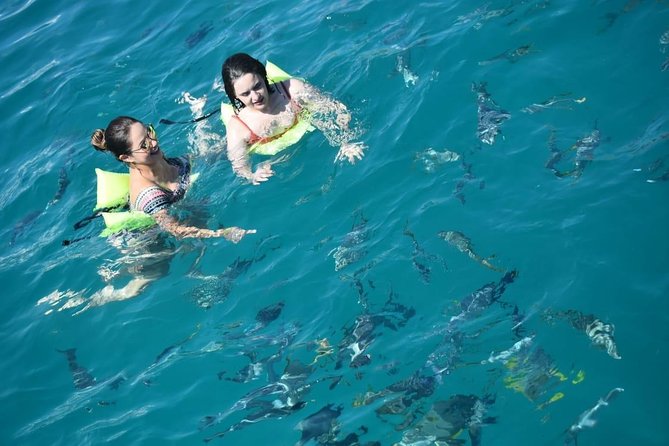 Private Catamaran Snorkeling Cruise in Los Cabos - Who Will Enjoy This Most?
