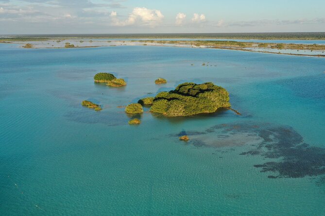 Private Catamaran Tour - Isla de los Pájaros as the Quiet Finale