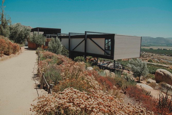 Private Curated Wine Tour in Valle de Guadalupe - Pickup from Ensenada and Valle de Guadalupe