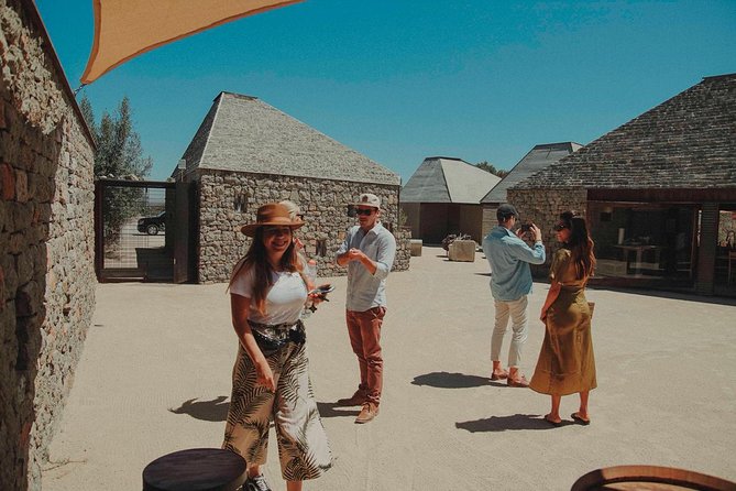 Private Curated Wine Tour in Valle de Guadalupe - Bodegas Magoni under the oak tree