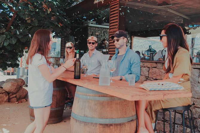 Private Curated Wine Tour in Valle de Guadalupe - Vinisterra Vitivinicola: a quiet first stop