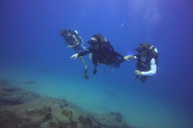 Private Dive Boat for Certified Divers - Cabo San Lucas - Meeting at Plaza Nautica at 12:30 pm