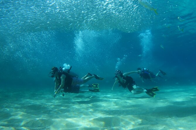 Private Dive Boat for Certified Divers - Cabo San Lucas - Choosing Two Underwater Sites Near Cabo