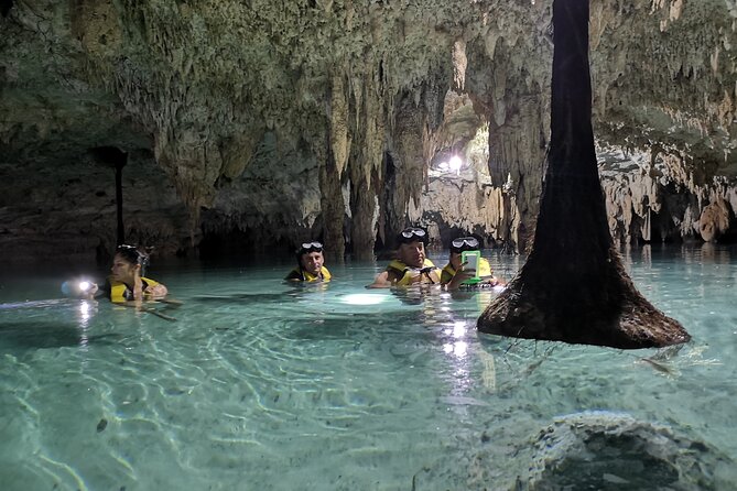 Private Dream Underground World (Off the beaten path Cenote cavernous exploring) - What the guide adds to the swim