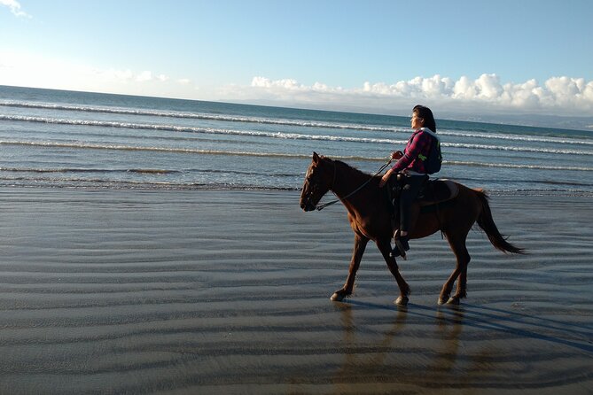 Private excursion to the bufadora and horseback riding on the beach - Reaching La Bufadora and Its 30-Meter Spray