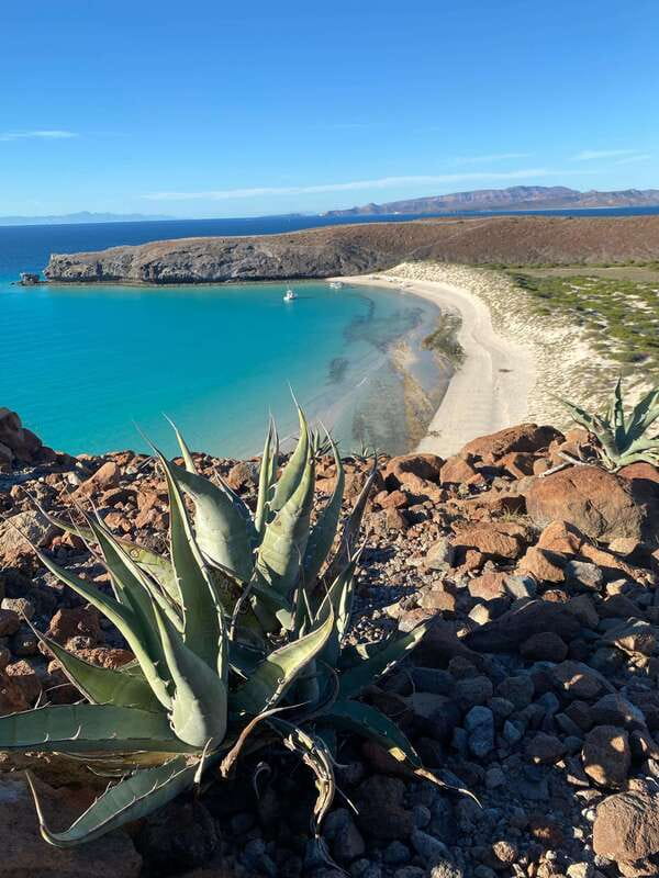 Private experience from Cabo San Lucas to La Paz: (Balandra beach) - A regional breakfast at La Garita