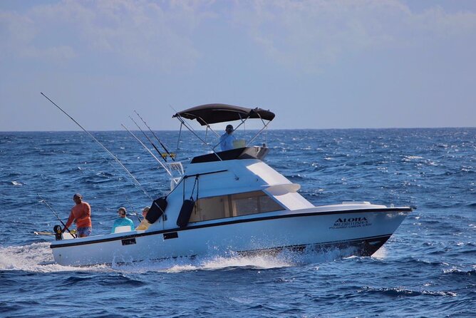 Private fishing charter Bertram 31ft 6 pax max if you don't fish you don't pay - From Cancun Sunset Marina to the fishing grounds