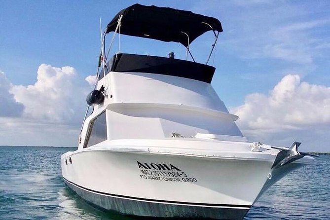 Private fishing charter Bertram 31ft 6 pax max if you don't fish you don't pay - The boat, space, and group size
