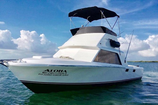 Private fishing charter Bertram 31ft 6 pax max if you don't fish you don't pay - What you may catch around Isla Mujeres