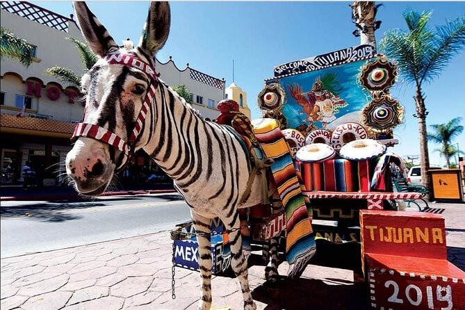 Private Full-Day Guided Tour of Tijuana - Mezcal, the cathedral, and an optional scorpion stunt