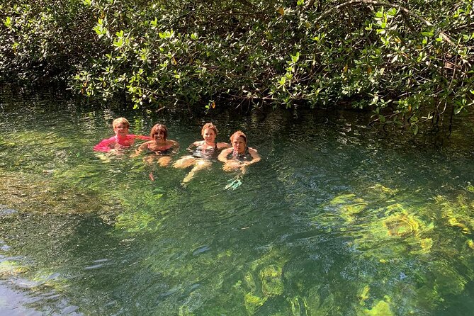 Private Half Day Cultural Tour to Mayan Ruins and Cenote - Cenote Aerolito de Paraiso: a short natural stop