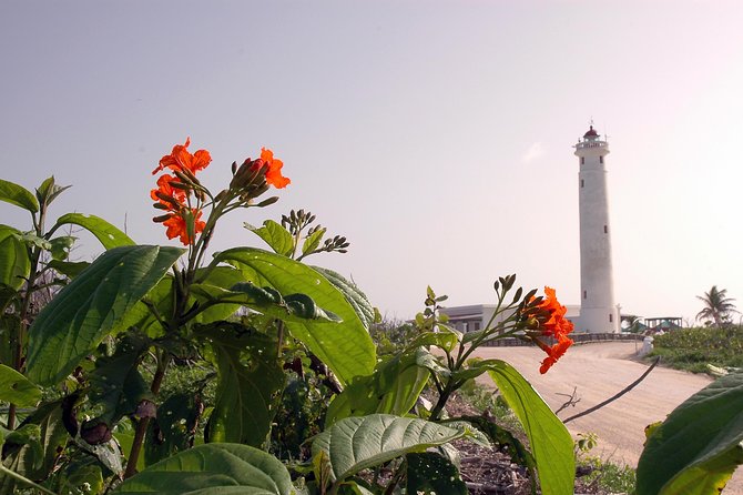 Private Island Tour at Your Leisure - Building your four-hour route