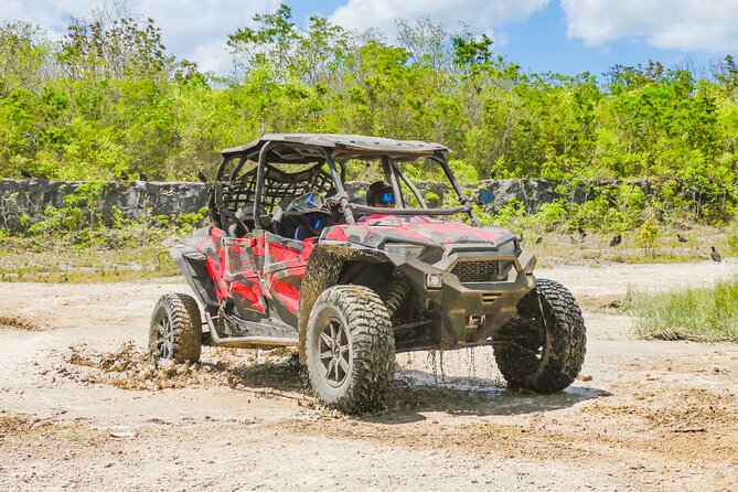 Private Jeep and 4x4 Polaris RZR Tour with Mexican Lunch - Key points at a glance