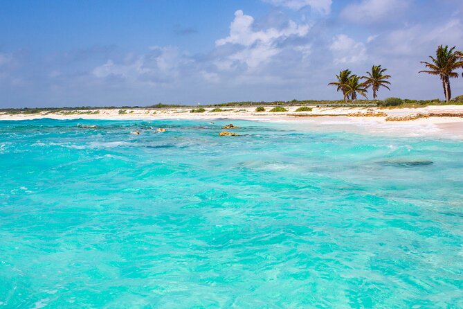 Private Jeep and 4x4 Polaris RZR Tour with Mexican Lunch - Lunch and downtime at Coco’s Beach Club