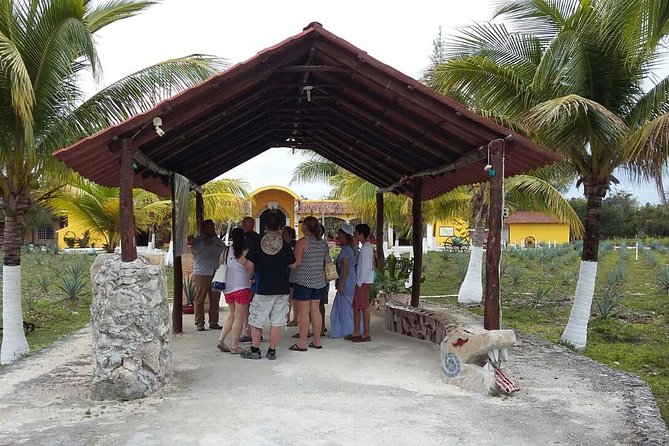 Private Jeep Excursion in Cozumel with Lunch and Snorkeling - San Gervasio, Cozumel’s Mayan site