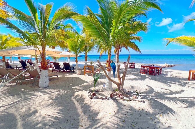 Private Jeep or Buggy Tour Snorkeling Maya Park and Tacos - San Martin Beach and tacos by the sea