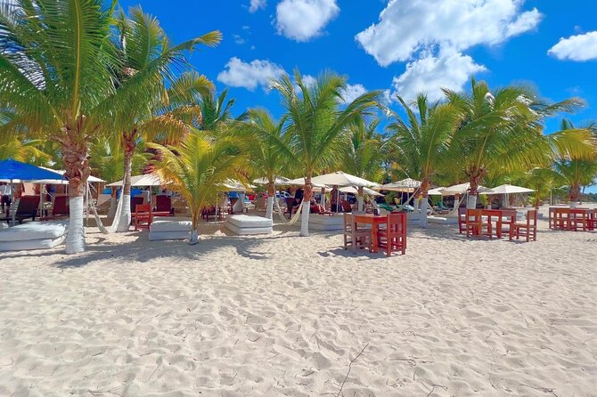 Private Jeep or Buggy Tour Snorkeling Maya Park and Tacos - The guides can change the whole day