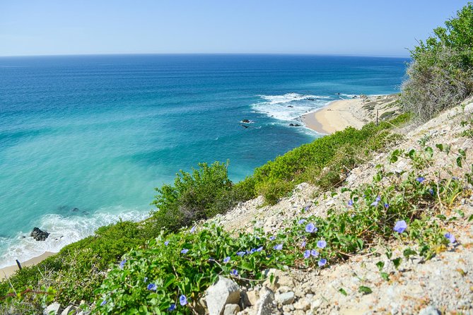 Private Jeep Tour Cabo Pulmo - A Mexican lunch in Miraflores