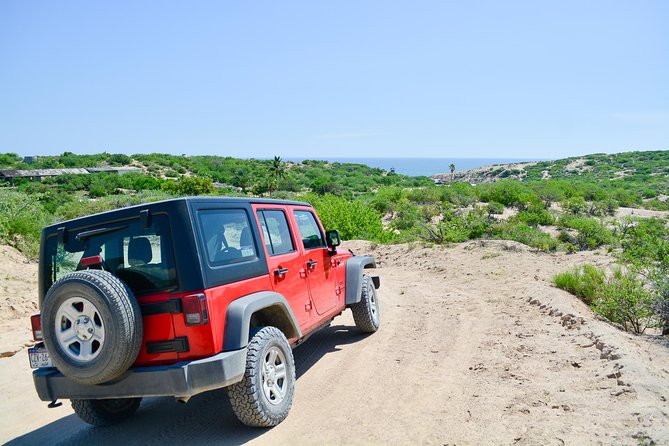 Private Jeep Tour Cabo Pulmo - How private flexibility changes the day