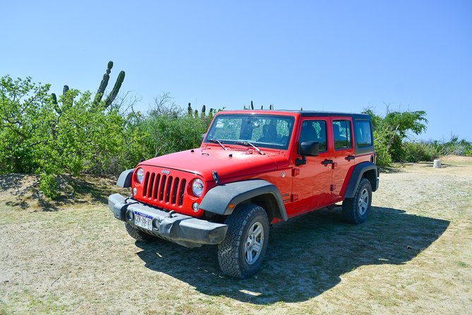 Private Jeep Tour Cabo Pulmo - What the strongest guide feedback tells you
