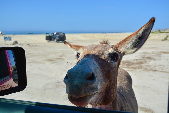 Private Jeep Tour Cabo Pulmo - Leaving Cabo San Lucas for the East Cape