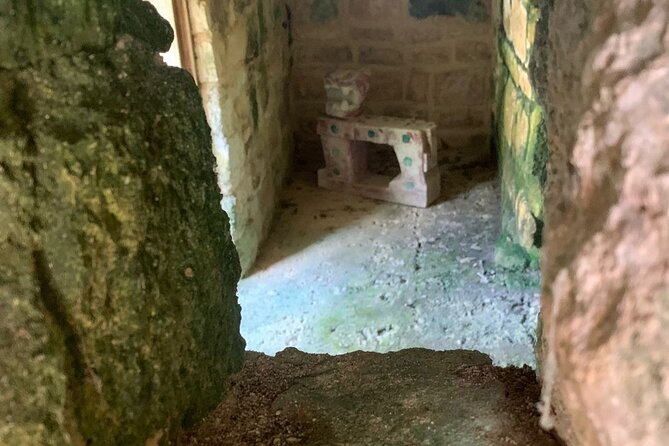 Private Mayan Ruins Tour with Cenote/caves and Mexican Picnic - Why this private tour works for seeing Cozumel