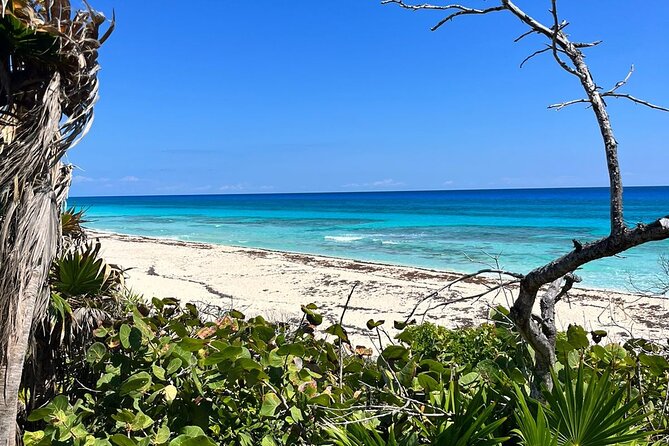 Private Mayan Ruins Tour with Cenote/caves and Mexican Picnic - El Mirador, beach views, and lunch
