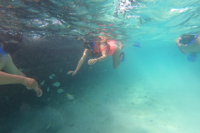 Private MUSA Snorkeling Experience at Isla Mujeres and Cancun - Cruising the coast before the snorkeling
