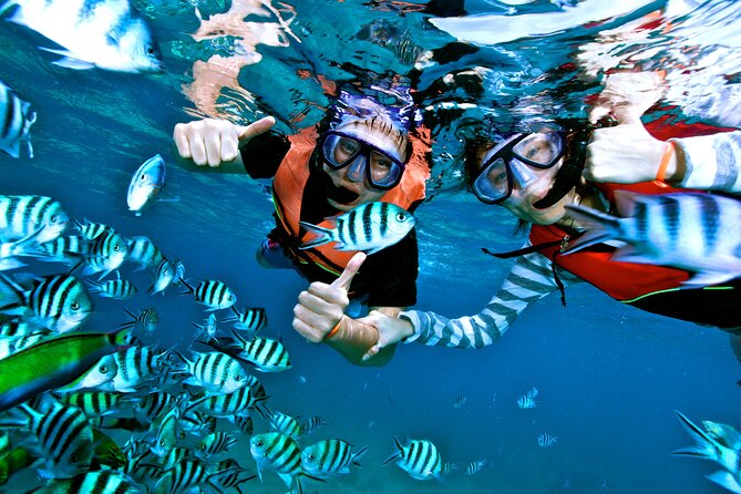 Private MUSA Snorkeling Experience at Isla Mujeres and Cancun - The shallow swim stop and time to relax
