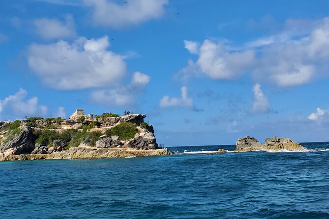 Private MUSA Snorkeling Experience at Isla Mujeres and Cancun - Price, group size, and what you receive
