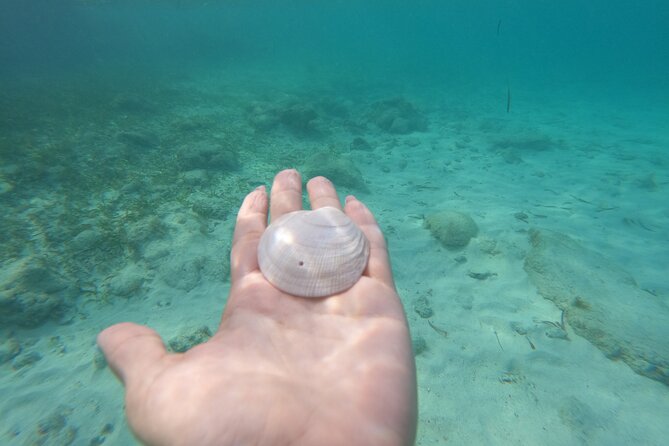 Private MUSA Snorkeling Experience at Isla Mujeres and Cancun - Who will enjoy this tour most