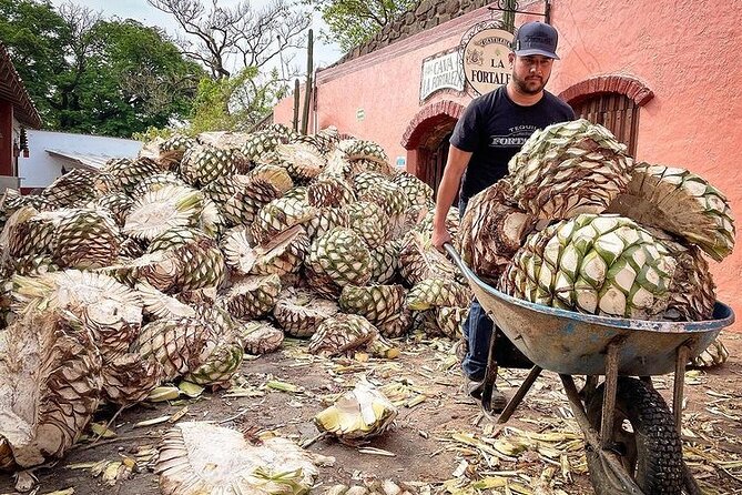 Private One Day Adventure Tour in Tequila and La Fortaleza Distillery - Three hours at Tequila Fortaleza