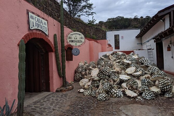 Private One Day Adventure Tour in Tequila and La Fortaleza Distillery - Guides, language, and the pace of the day