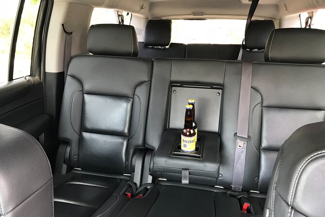Private One Way Transfer From SJD Airport To Cabo San Lucas - Where this transfer earns its $100 price