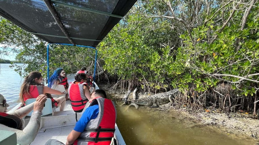 Private Ría Lagartos Boat Tour: Flamingos & Crocodiles - Key points to know before booking