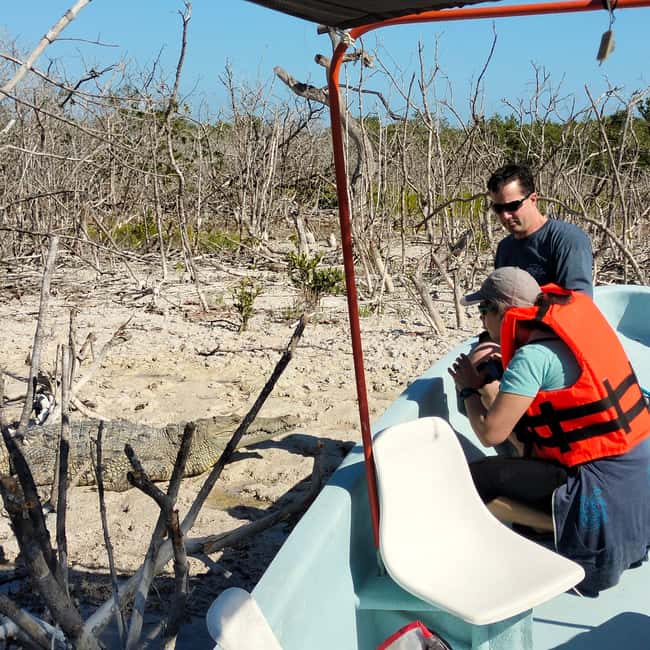 Private Ría Lagartos Boat Tour: Flamingos & Crocodiles - The optional Mayan white-clay bath