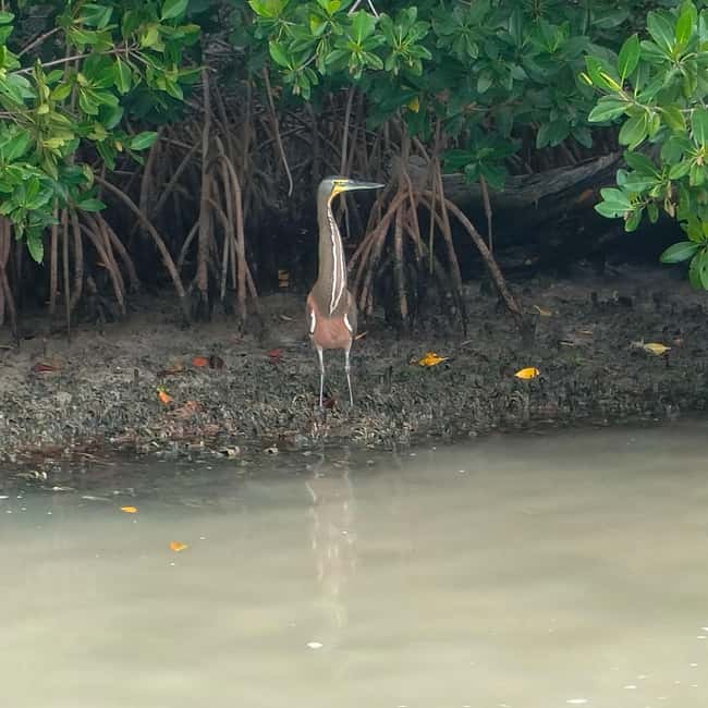 Private Ría Lagartos Boat Tour: Flamingos & Crocodiles - Rinsing off at a quiet Ría Lagartos beach