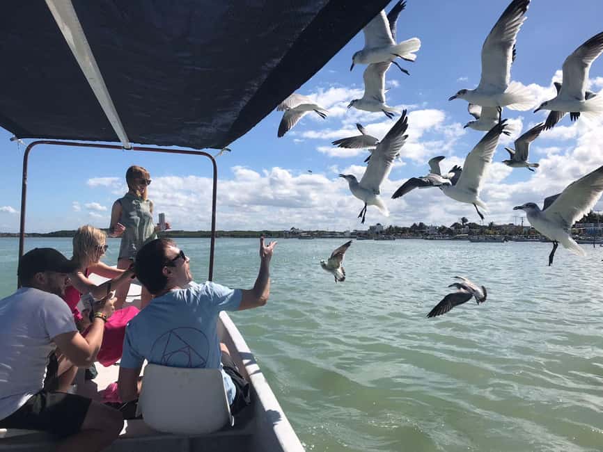 Private Ría Lagartos Boat Tour: Flamingos & Crocodiles - Why the private format matters at $75 per person