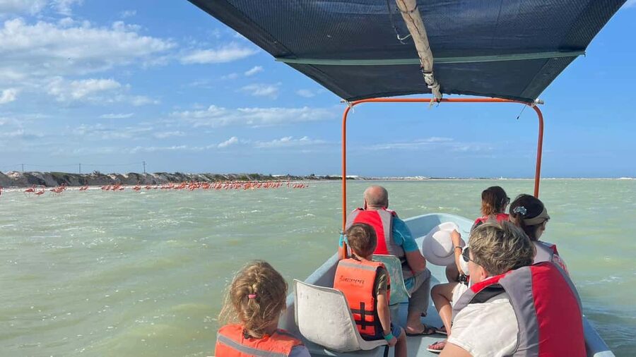 Private Ría Lagartos Boat Tour: Flamingos & Crocodiles - Choosing the best departure time