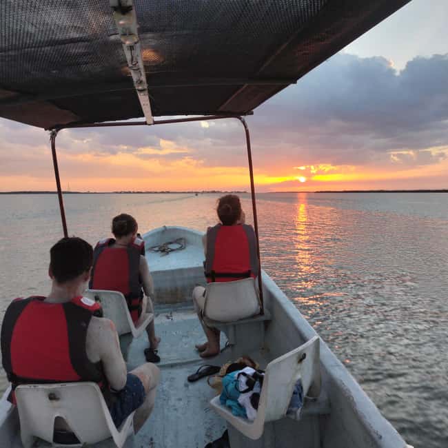 Private Ría Lagartos Boat Tour: Flamingos & Crocodiles - Mangrove channels and the first wildlife sightings