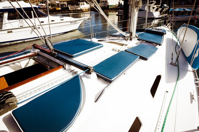 Private Sailboat tour in Cabo San Lucas with Papillon Yachts - Booking, weather, and small practical matters