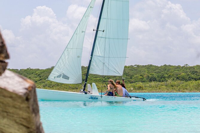 Private Sailing between Mangroves - Bird Island and the warm lagoon water