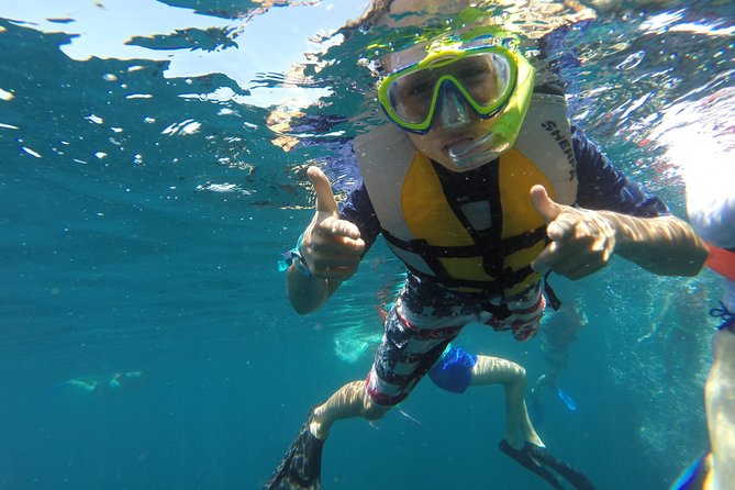 Private Snorkeling Tour in Cabo San Lucas - The Arch and Cabo’s famous shoreline