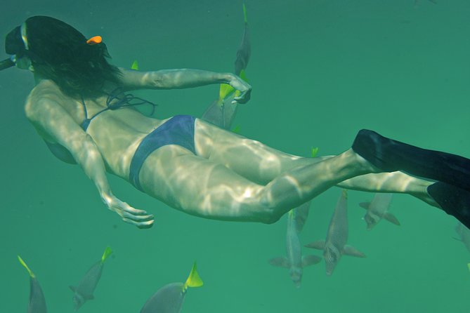 Private Snorkeling Tour in Cabo San Lucas - How the private format changes the day