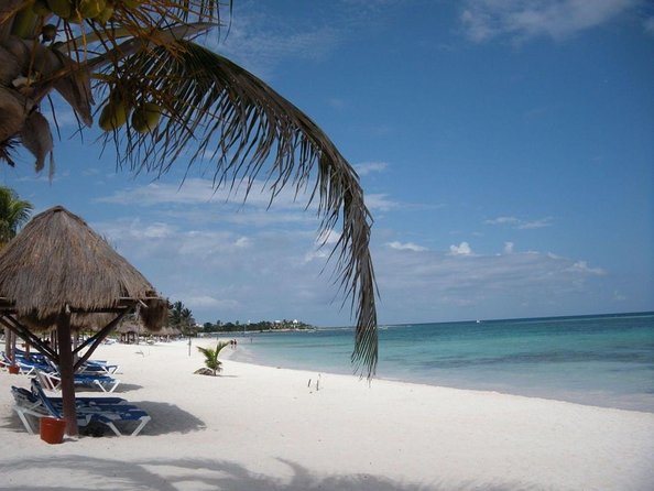 Private Snorkeling with Sea Turtles in Akumal Beach - What makes this Akumal swim worth considering